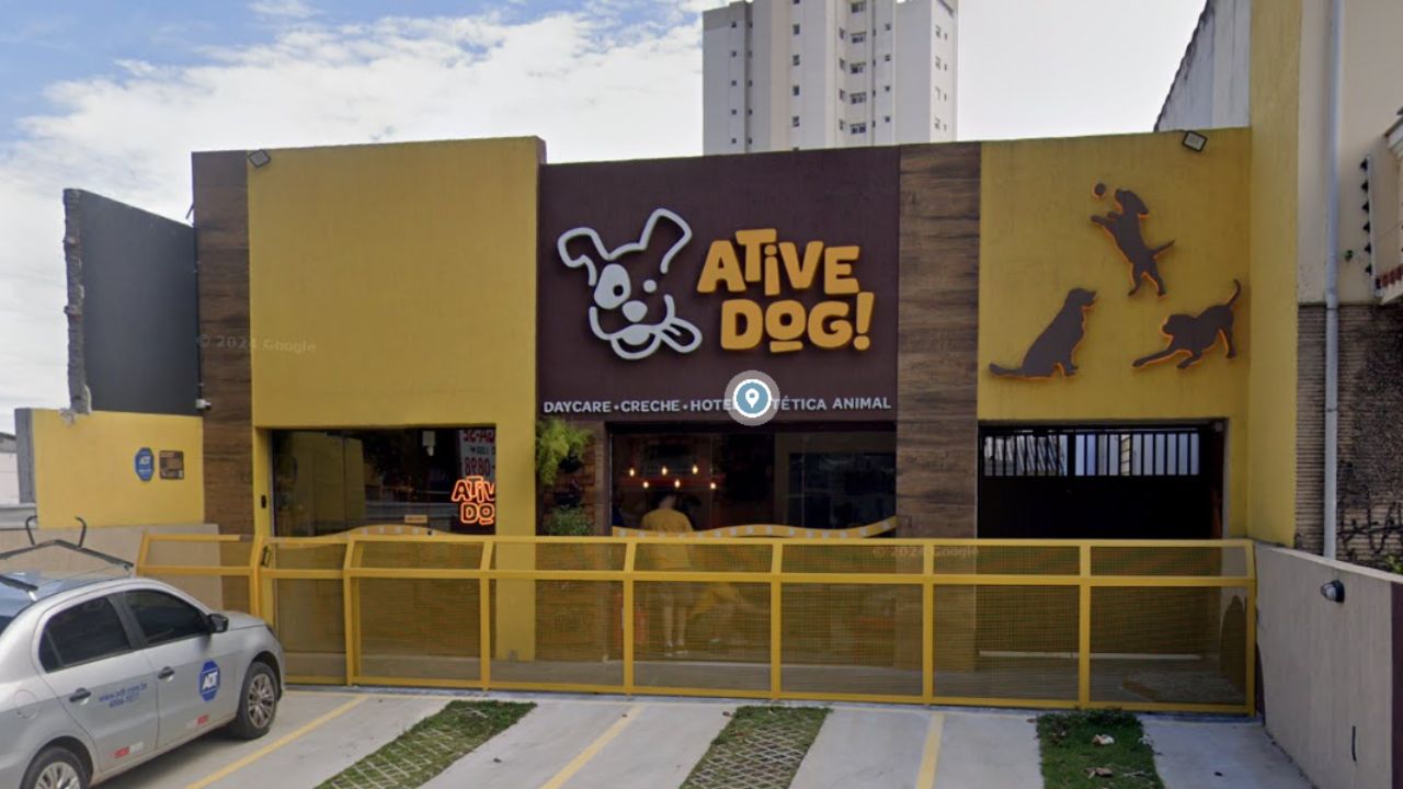 creche para cachorro ative dog
