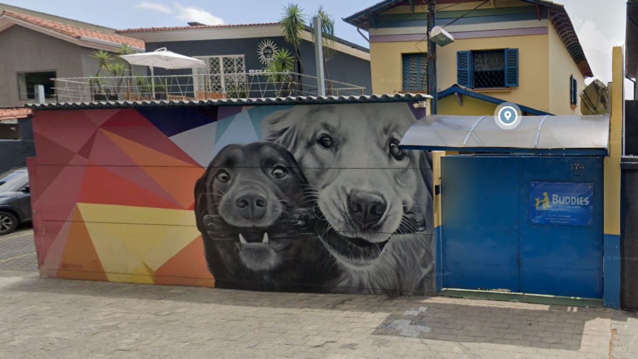 creche para cachorros Buddies