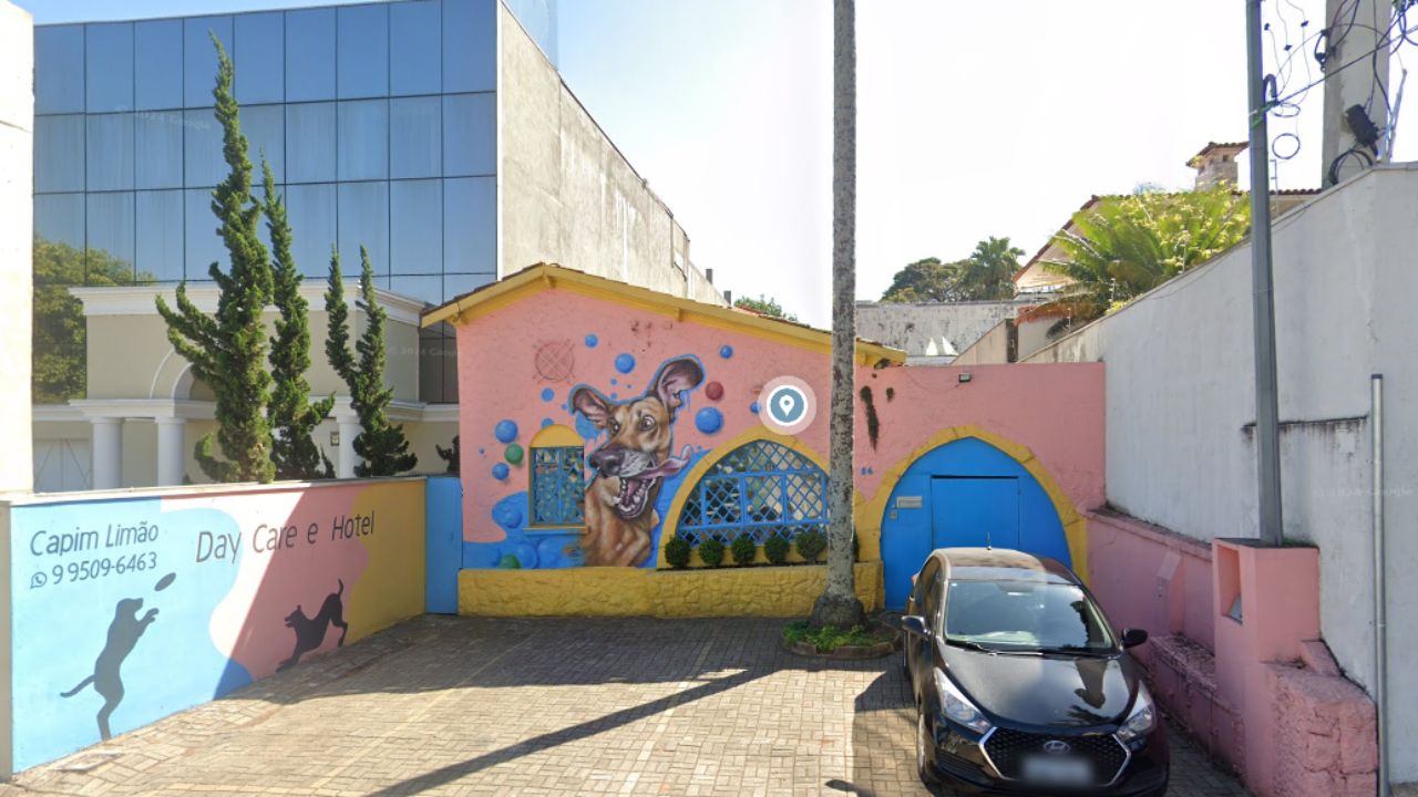 creche para cachorro Capim Limao