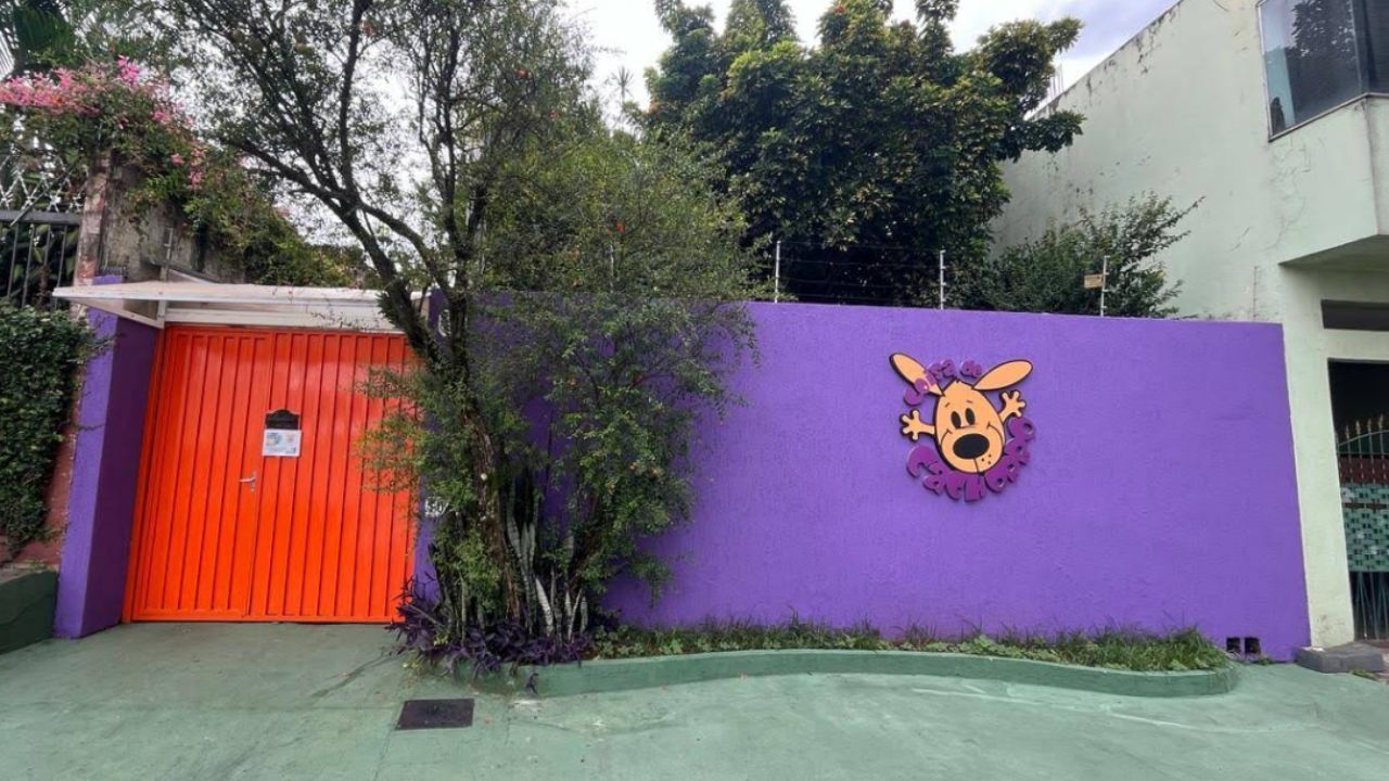 creche para cachorro Coisa de Cachorro