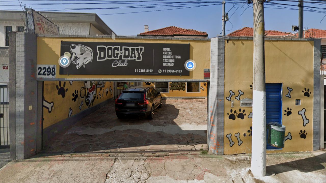 creche para cachorro dog day club