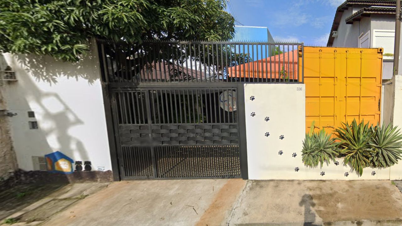 creche para cachorro Dog parque