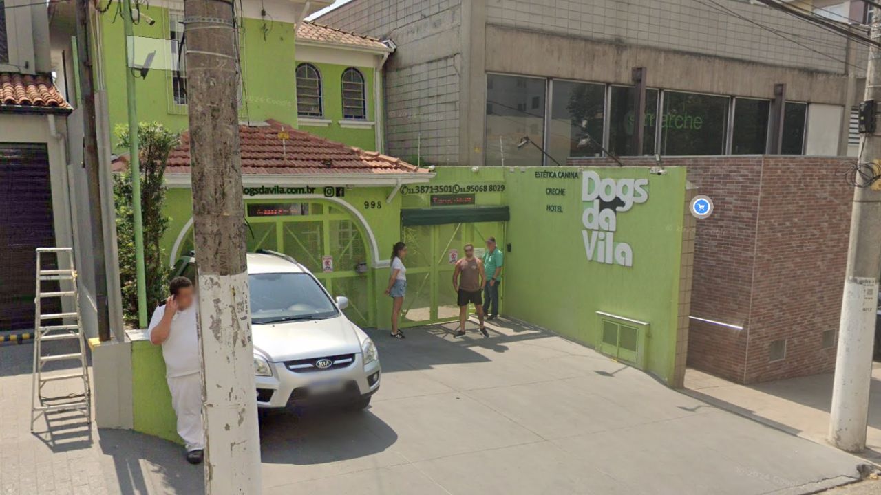 creche para cachorros dogs da vila