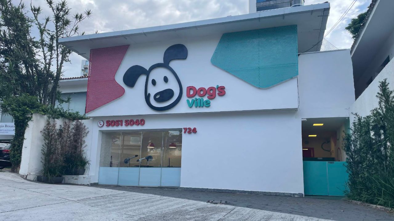 creche para cachorro Dogs Ville