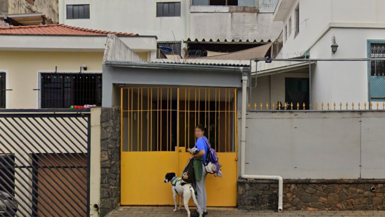 creche para cachorro Entre Patas