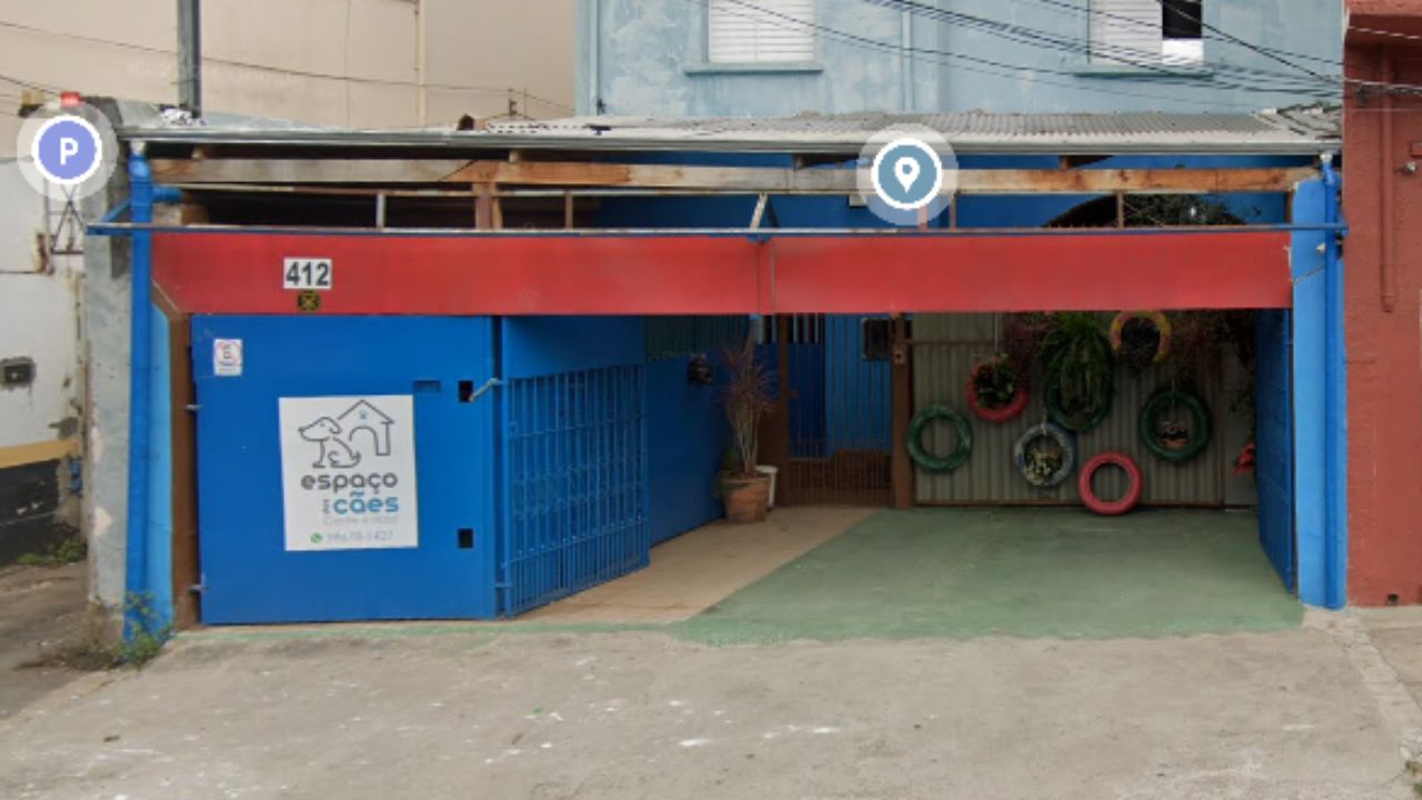 creche para cachorro Espaco dos Caes