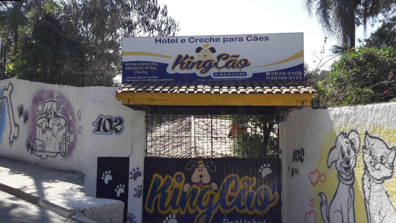 creche para cachorro King Cao