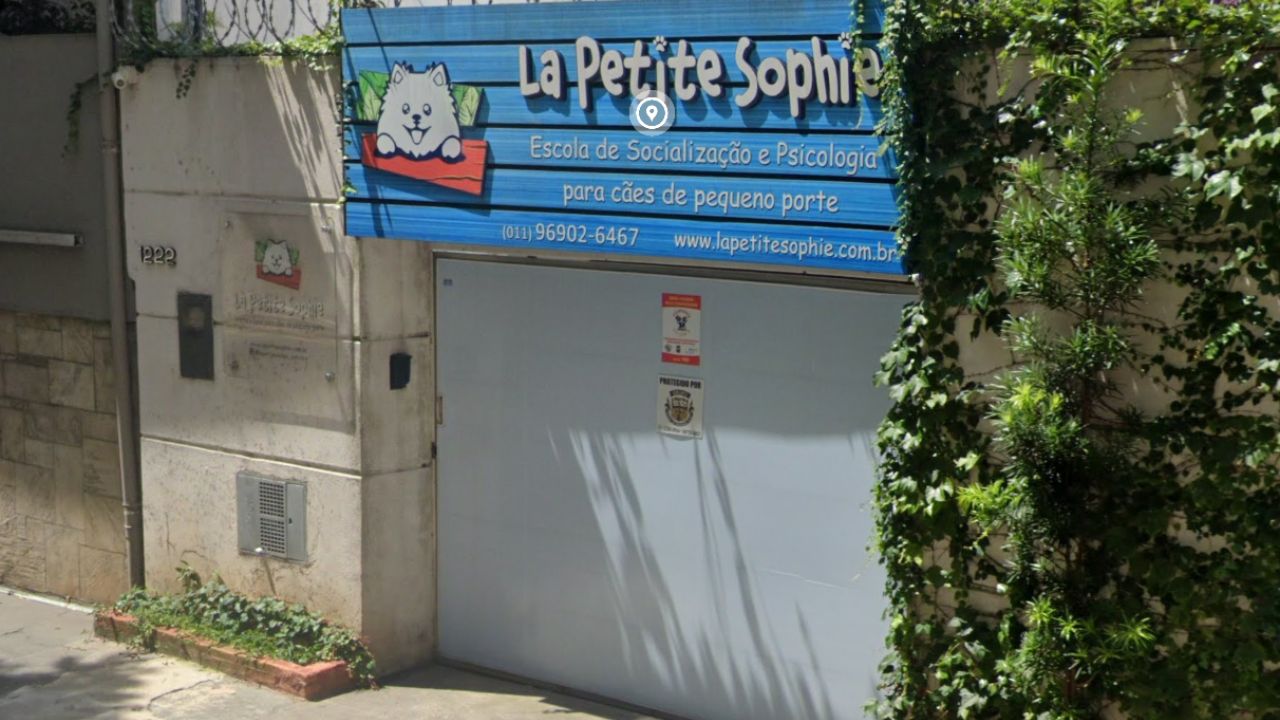 creche para cachorro la petite sophie