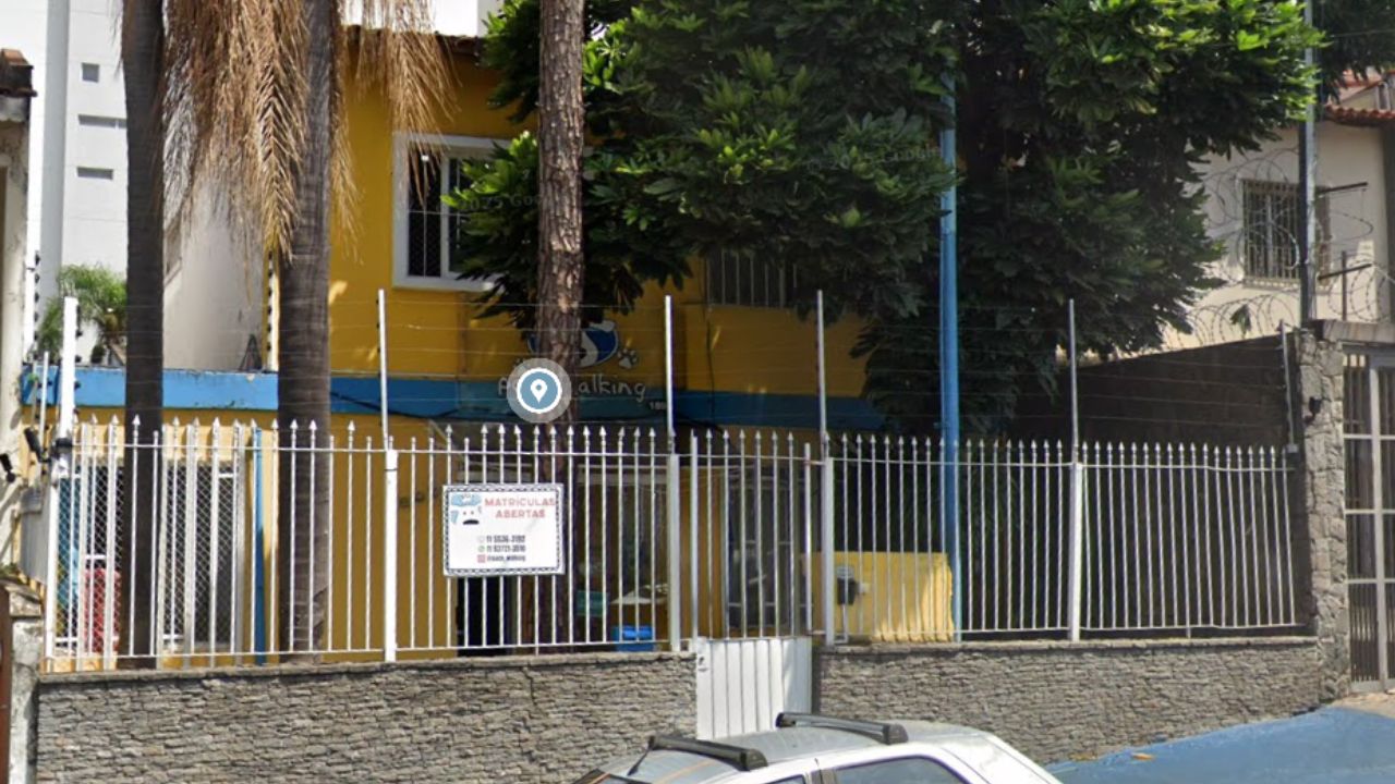 creche para cachorro Pack Walking