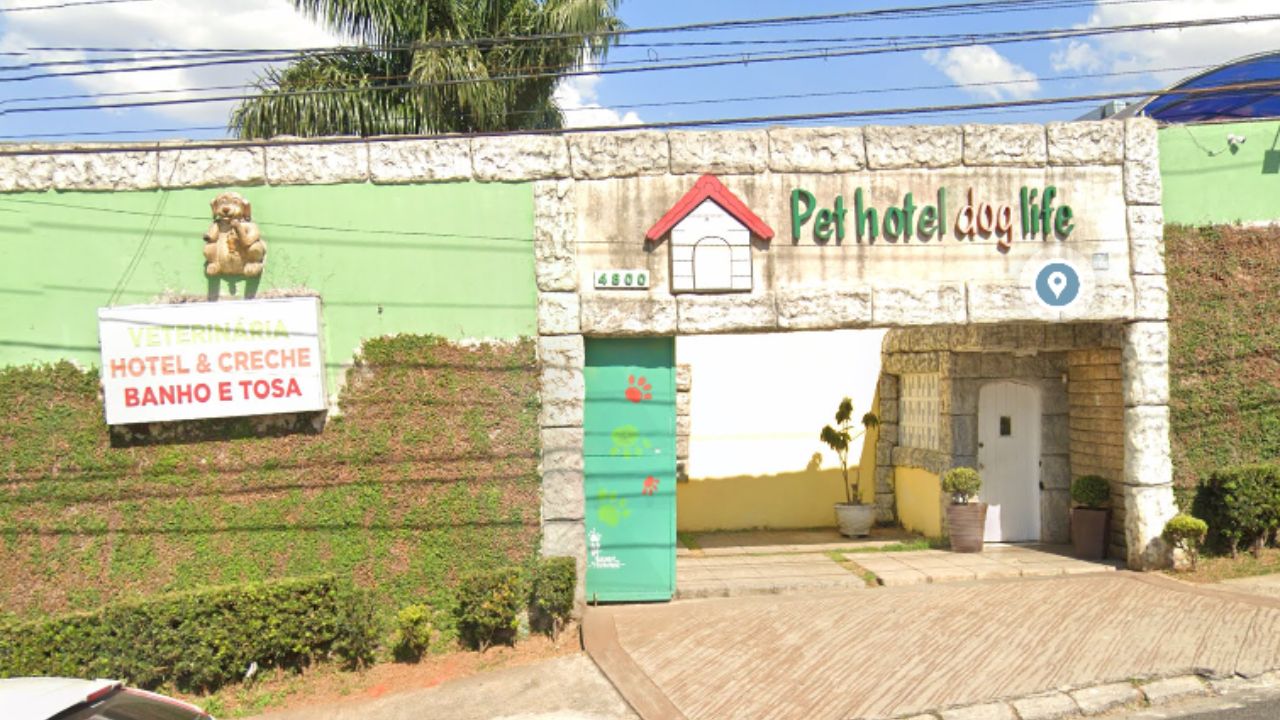 creche para cachorro Dog life