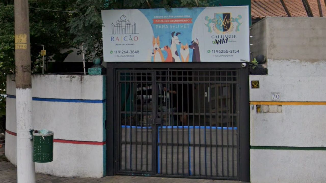 creche para cachorro Rajcao