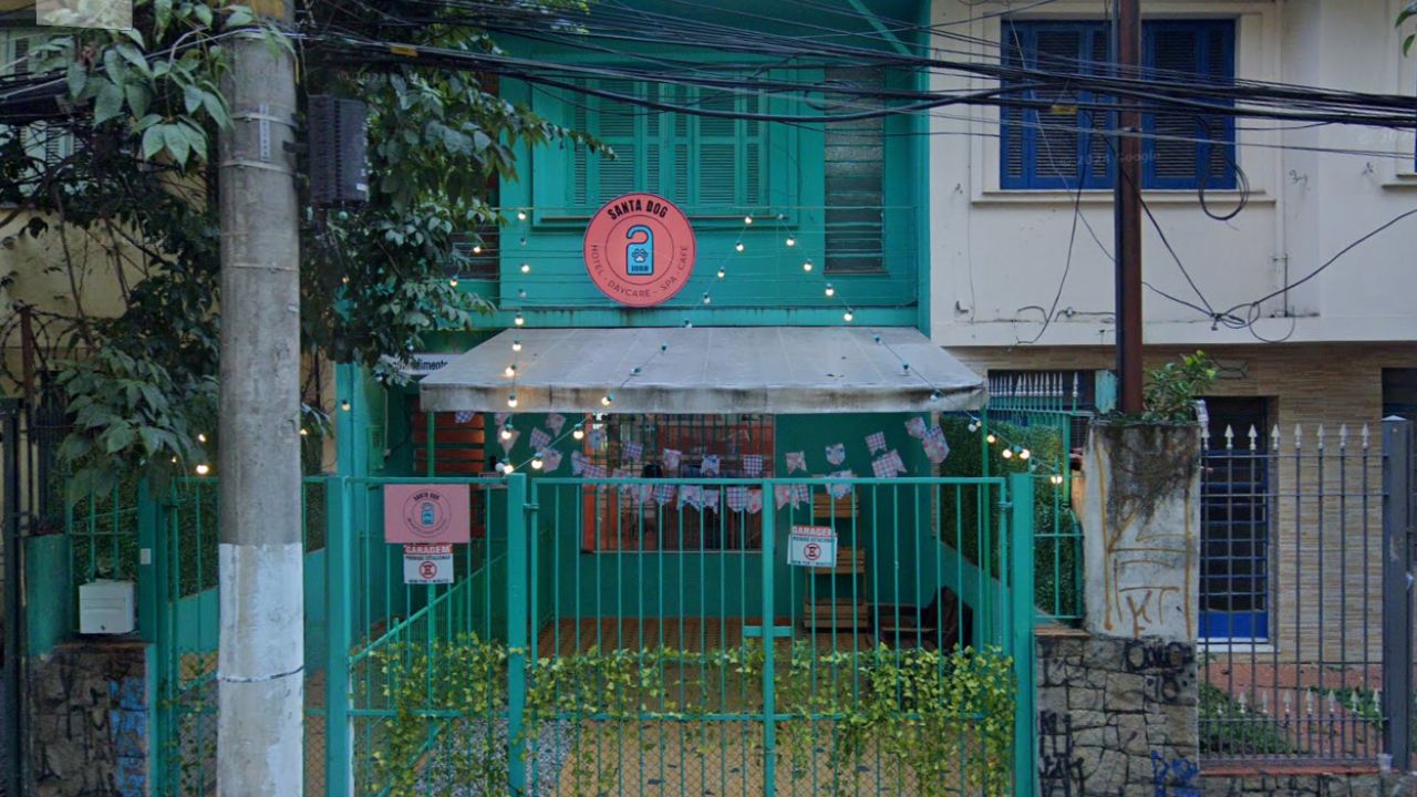 creche para cachorro santa dog