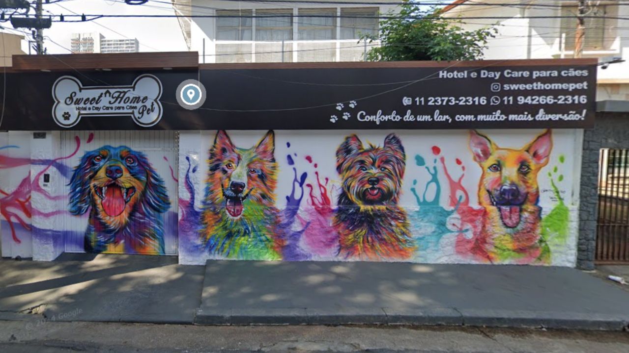 creche para cachorro sweet home pet