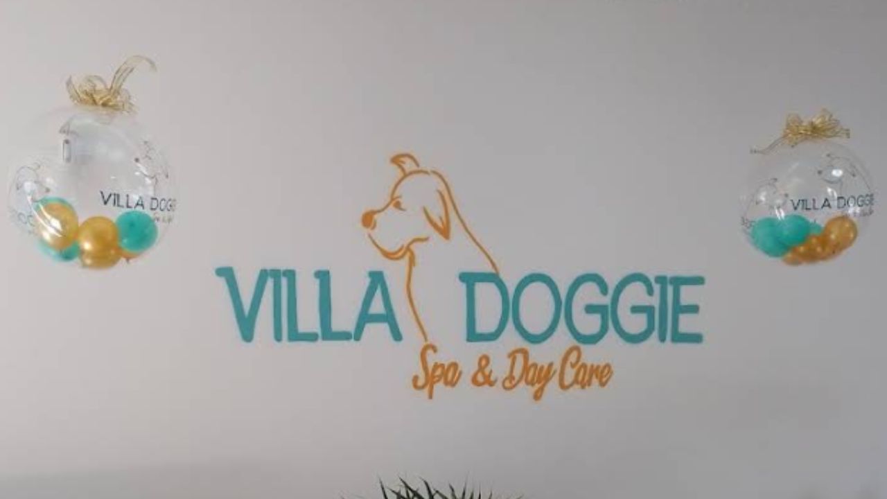 creche para cachorro Villa Doggie