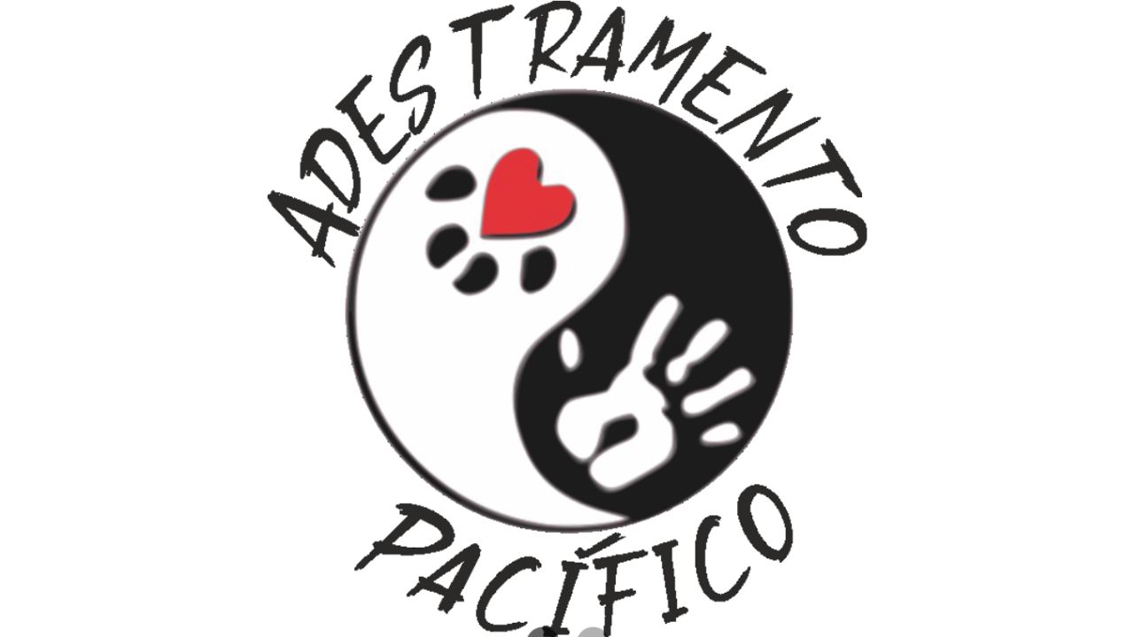 creche para cachorro adestramento pacifico