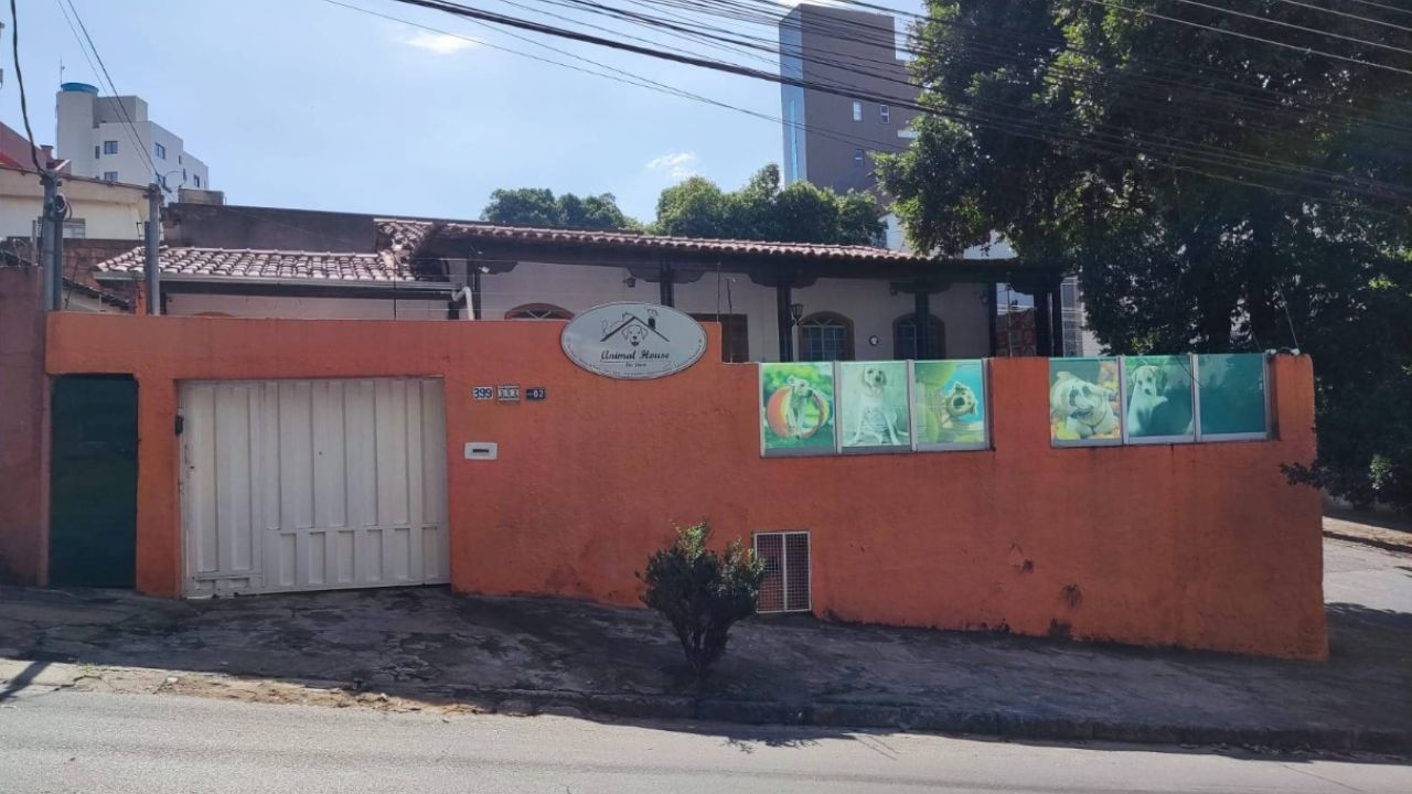 creche para cachorro Animal house