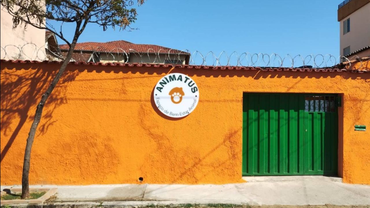 creche para cachorro Animatus 2