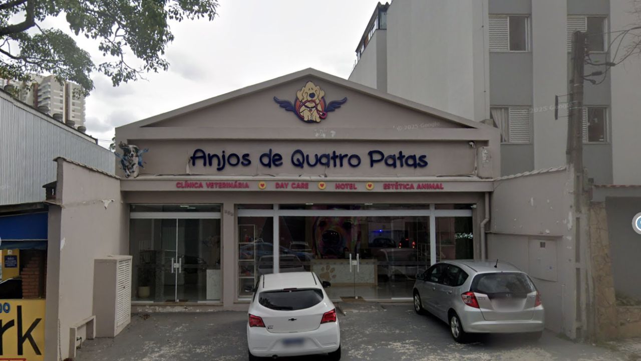 anjos-de-4-patas