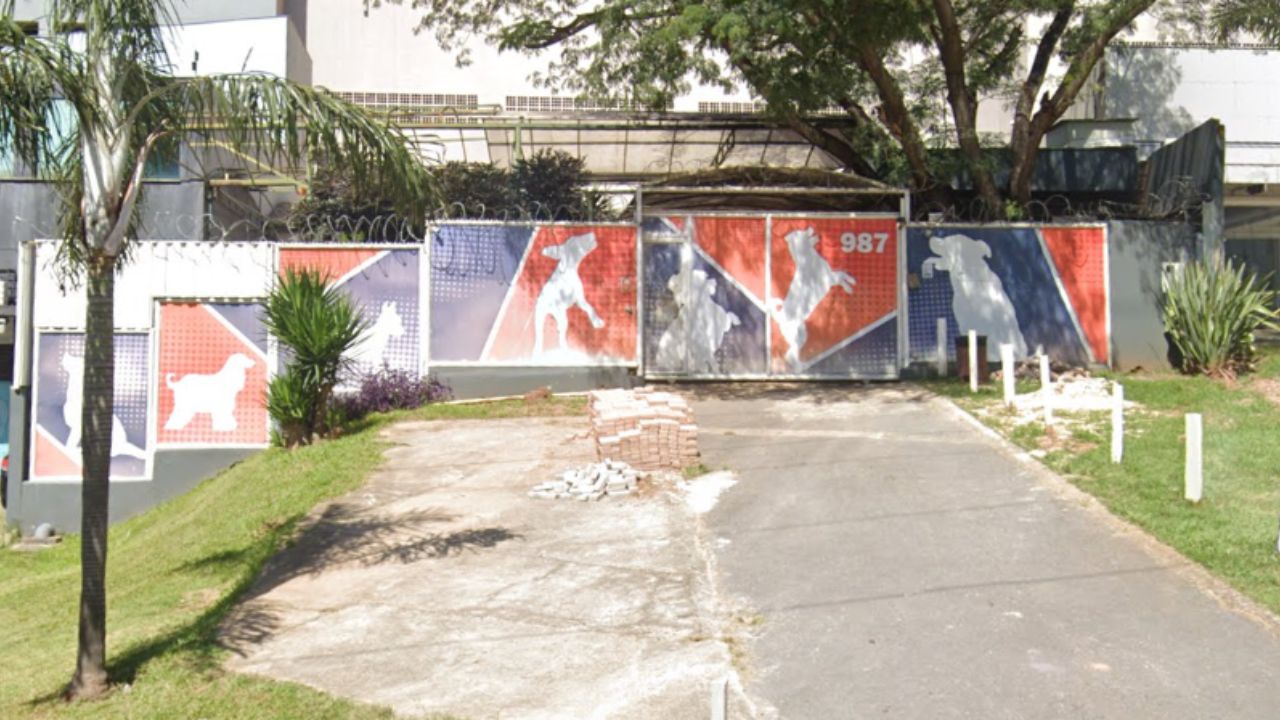 creche para cachorro Aufabeto