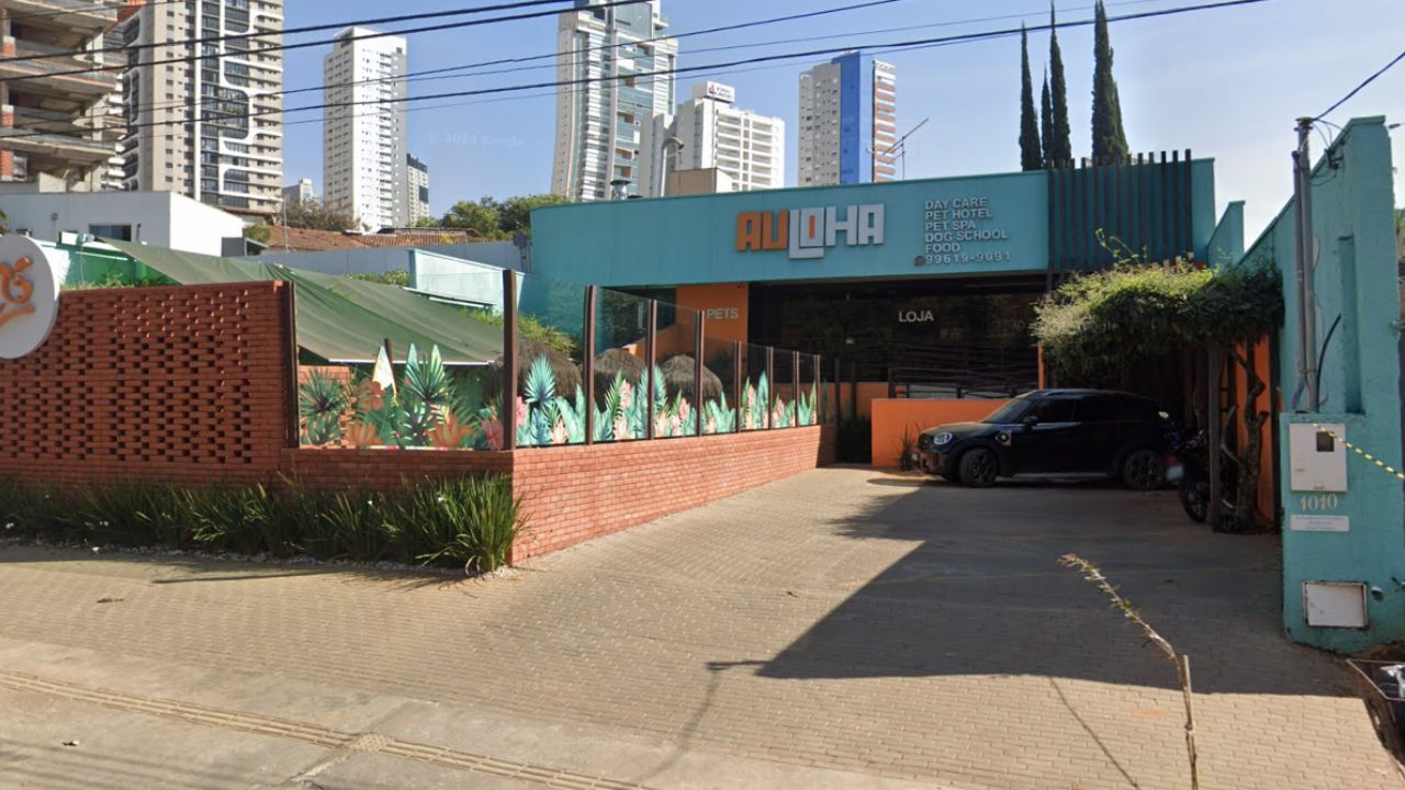 creche para cachorro Auloha Pet