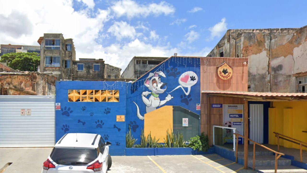 creche para cachorro Aumigos