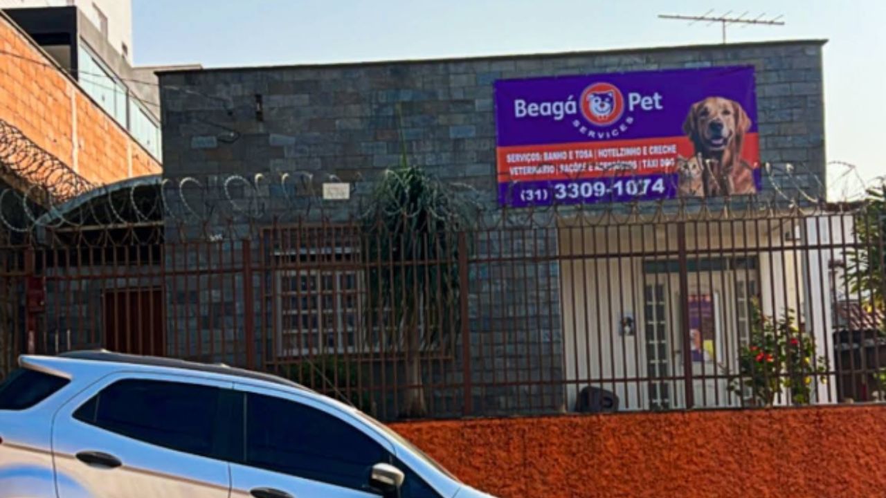creche para cachorro beaga pet services