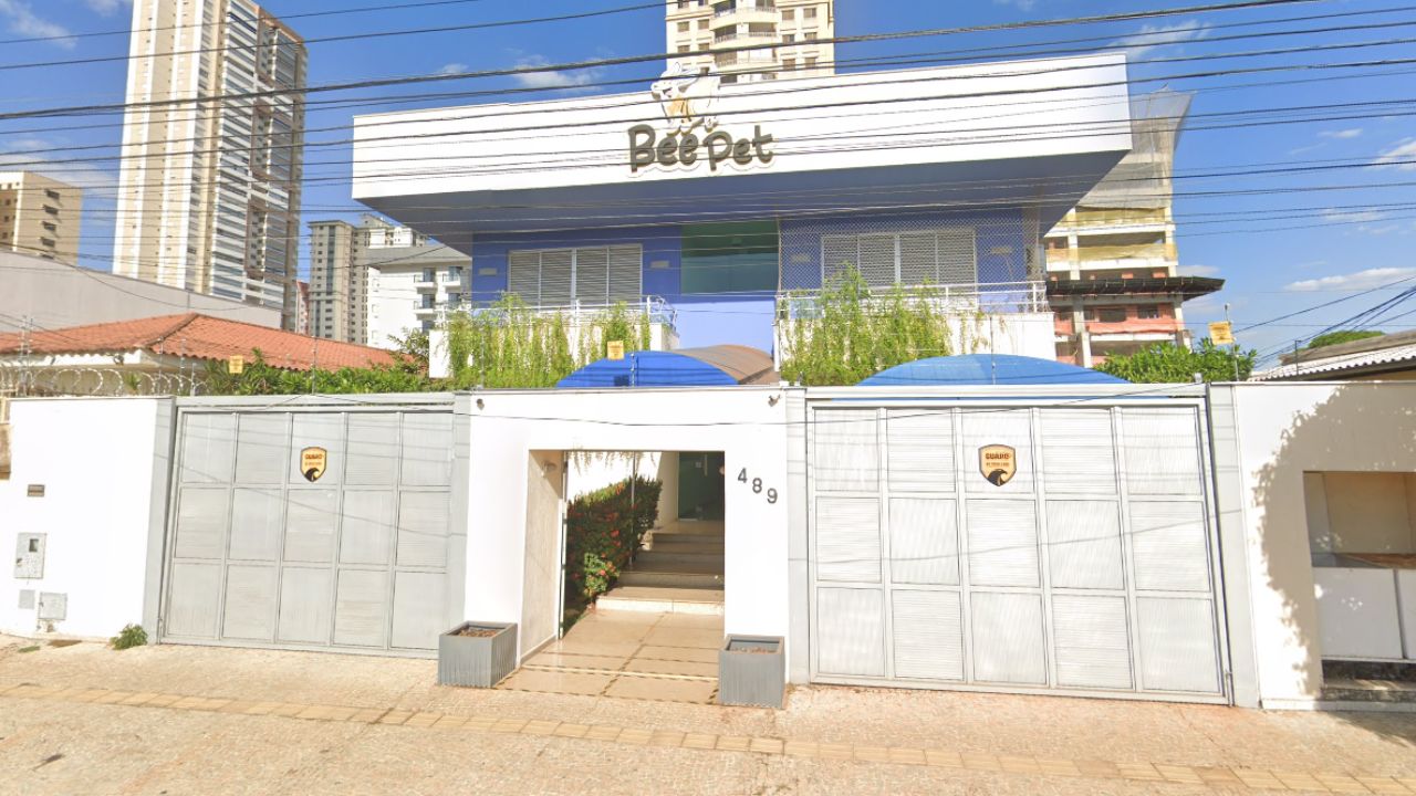 creche para cachorro Bee Pet