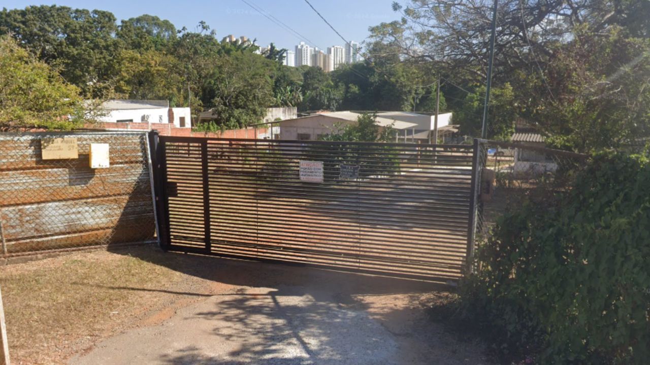 creche para cachorro Bem Estar