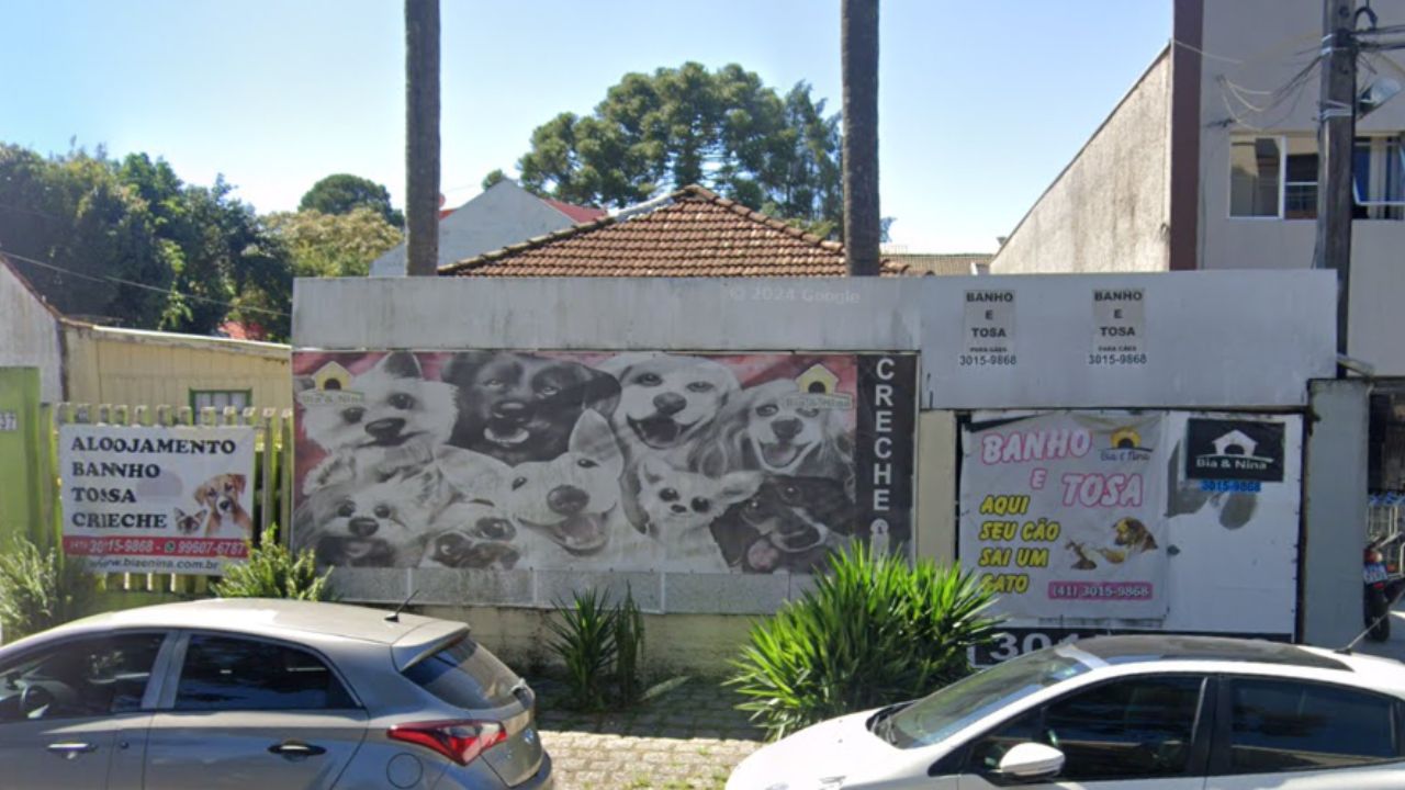 creche para cachorro Bia e Nina