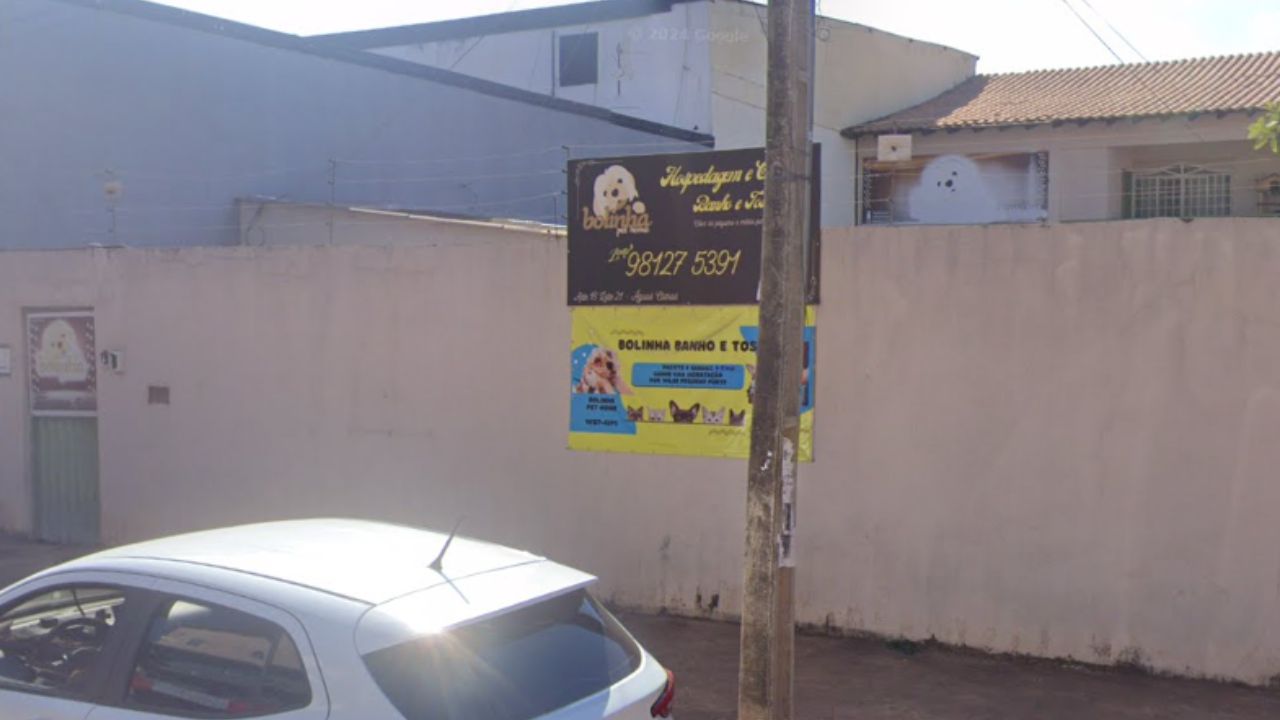 creche prara cachorro Bolinha pet home