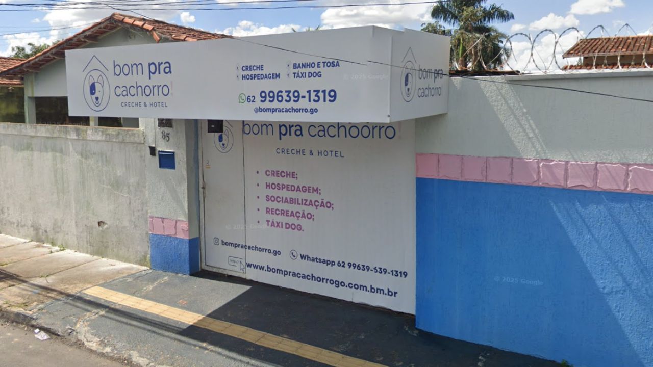bom-para-cachorro