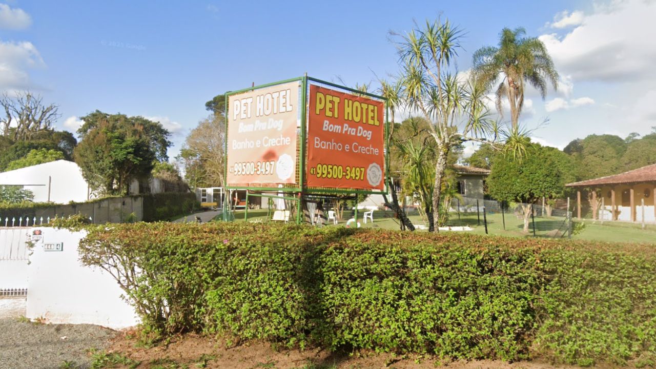 creche para cachorro Bom pra dog