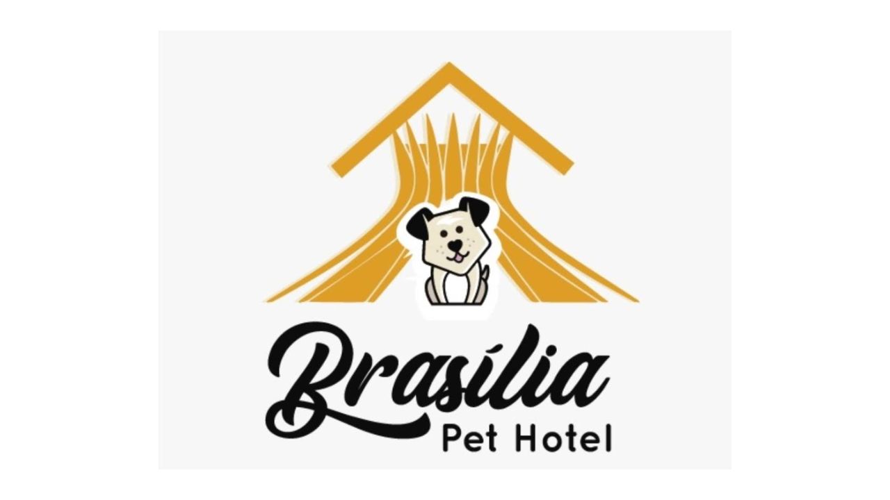 creche para cachorro Brasilia pet hotel