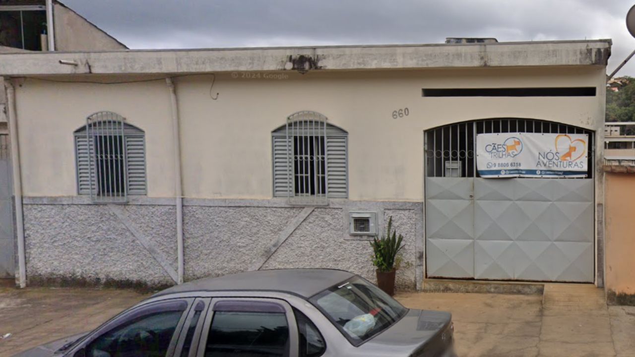 creche para cachorro Caes e Trilhas