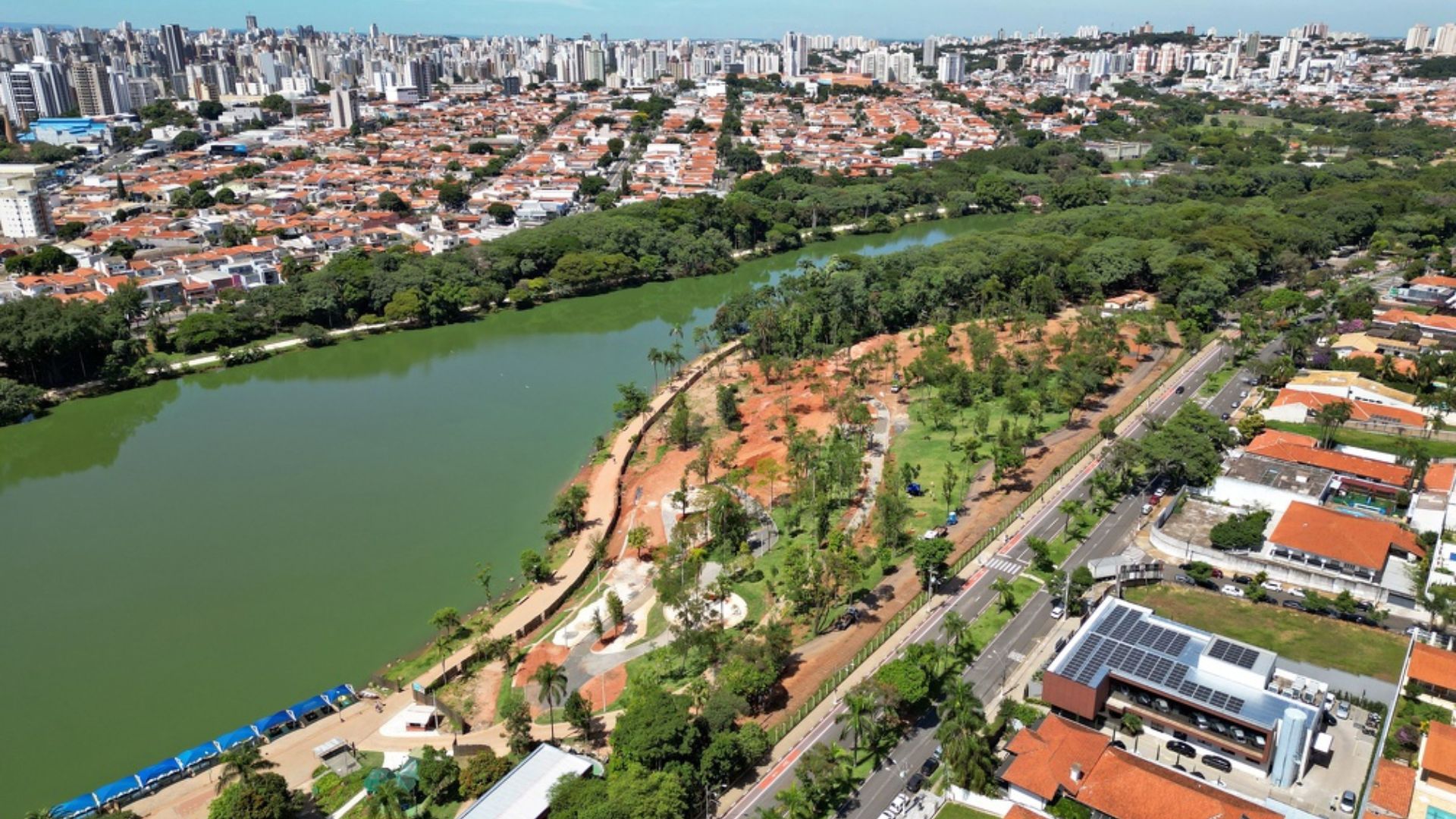 Creche para cachorro em Campinas - SP