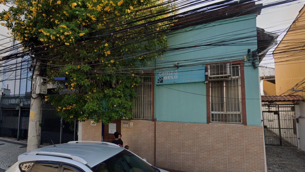 creche para cachorro Campo Belo