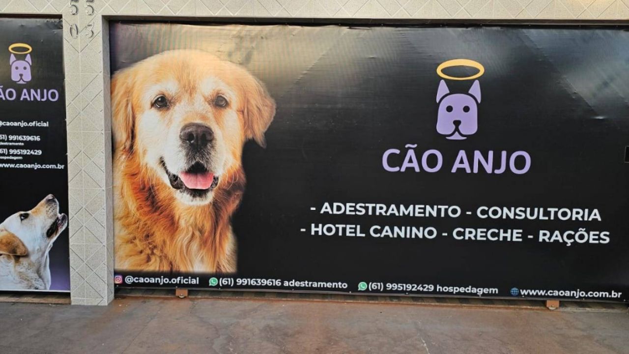 creche para cachorro Cao Anjo