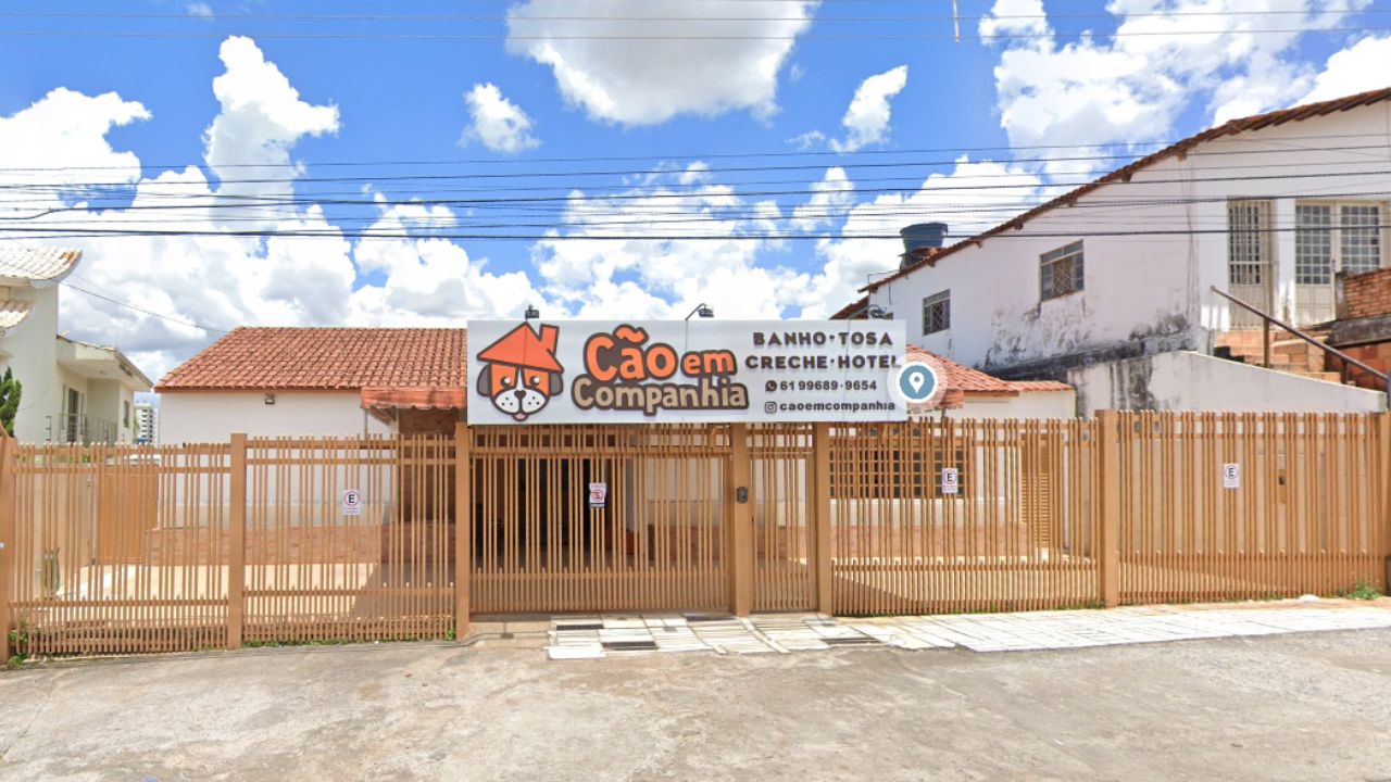 creche para cachorro Cao em companhia - vicente pires