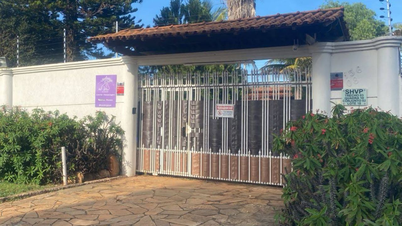 creche para cachorro CaoDango