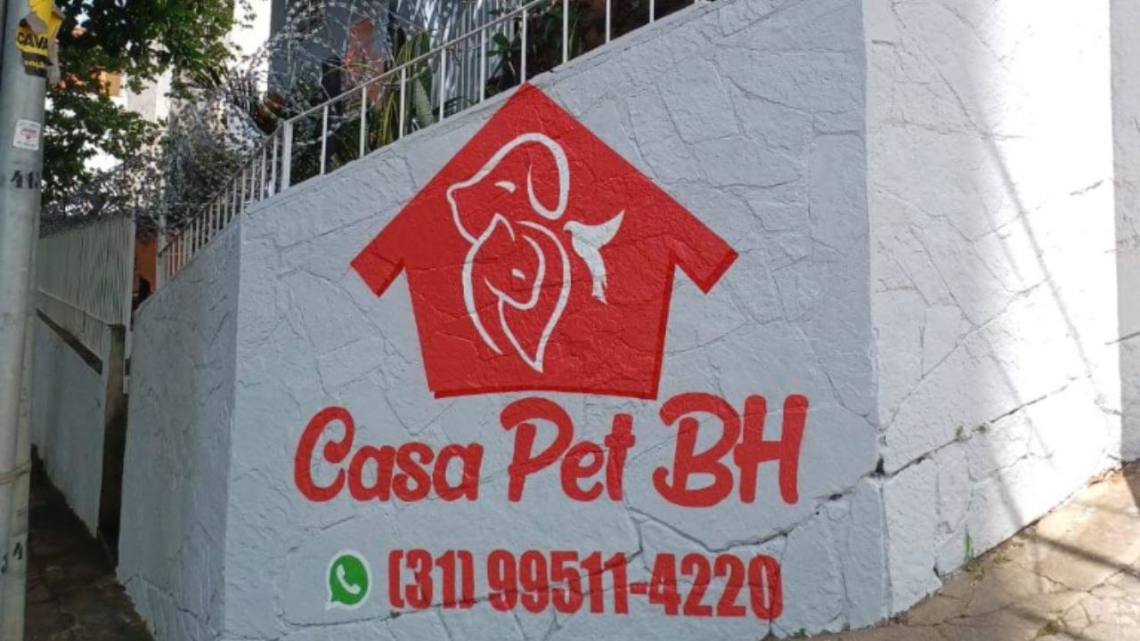 creche para cachorro Casa pet BH