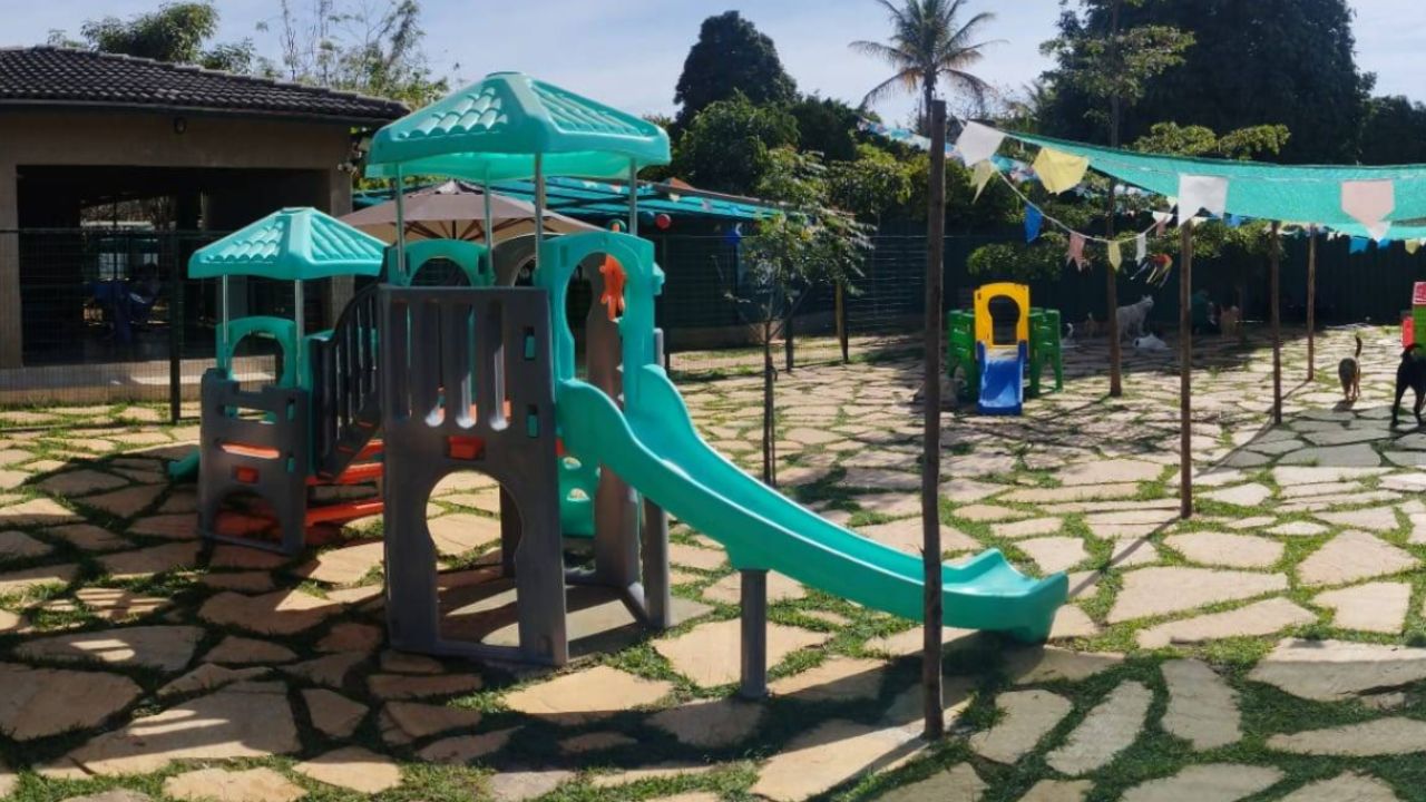 creche para cachorro Ceara pet house