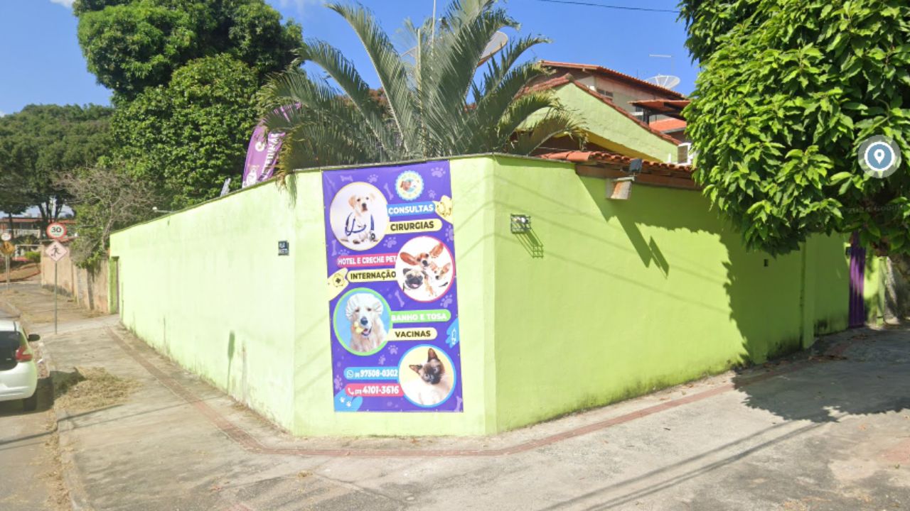 creche para cachorro meu pet