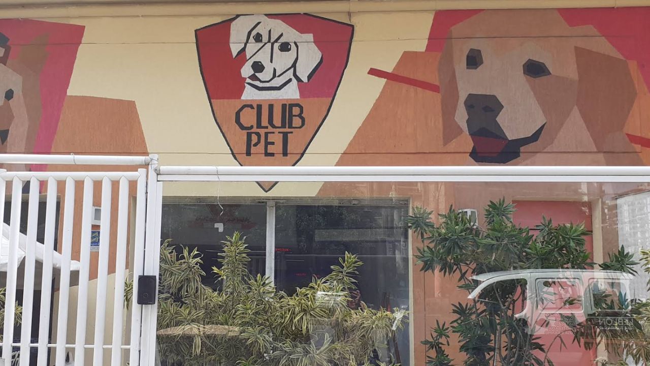 creche para cachorro Club pet - Leblon