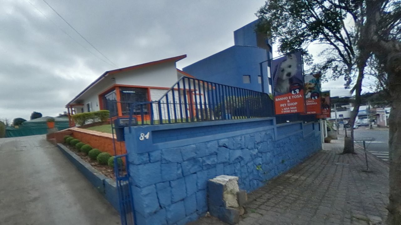 creche para cachorro Clube Pets