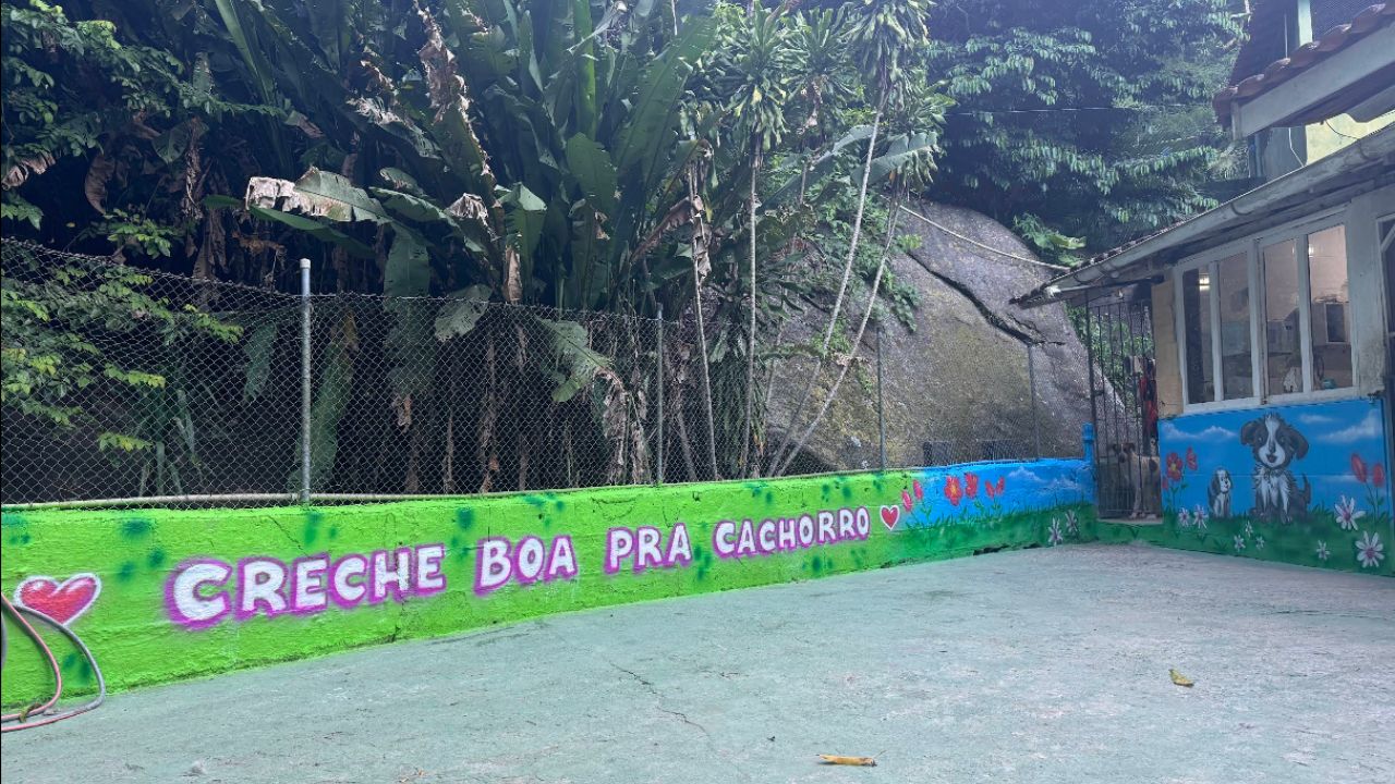 creche-boa-para-cachorro