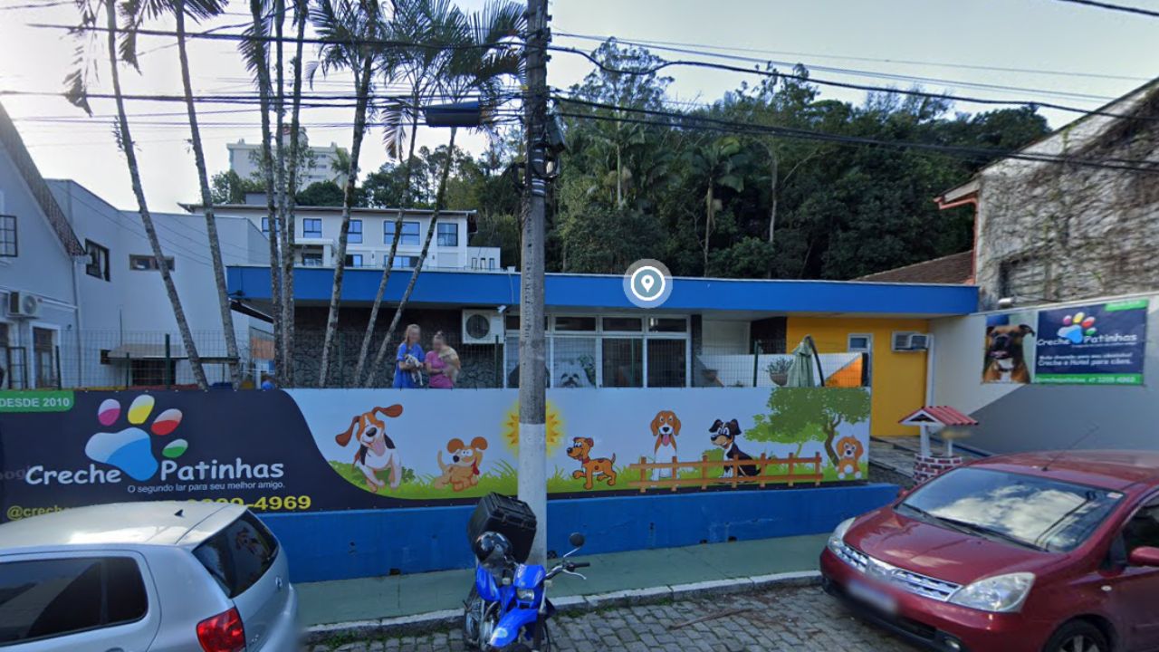creche-patinhas