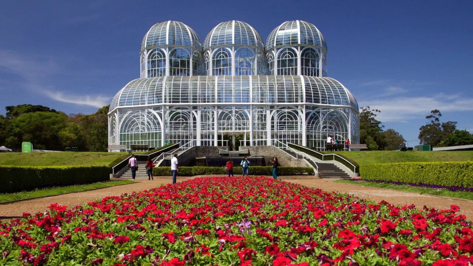 Creche para cachorro em Curitiba - PR