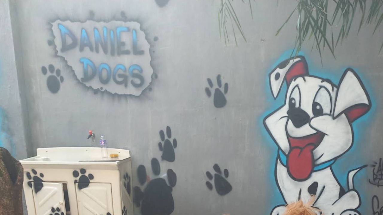 daniel-dogs