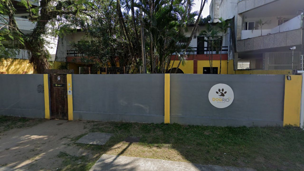 creche para cachorro Dog Rio