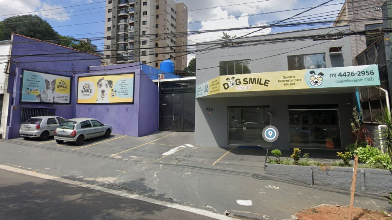 dog-smile